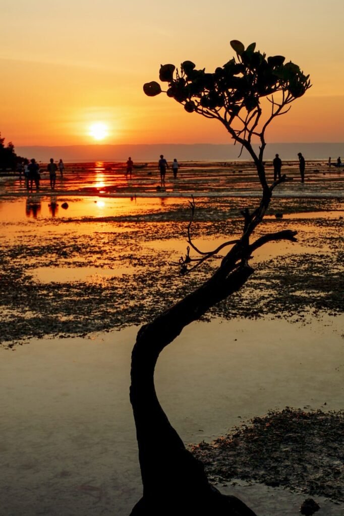 sumba island sunset